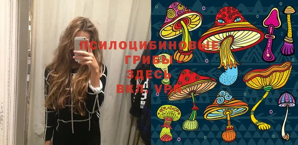 таблы Елизово