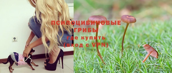 mdpv Елабуга